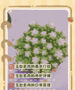 翡翠景天多肉怎么养