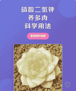 多肉可以用磷酸二氢钾吗