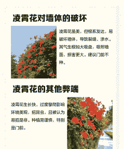 为什么门前不栽凌霄花