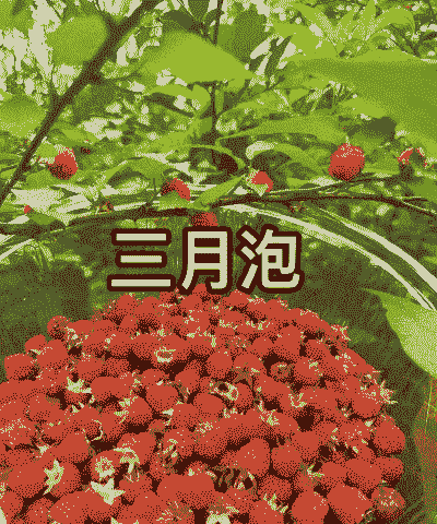 山莓别名叫什么