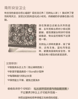 仙人球可以放卧室内养吗