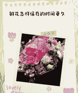 什么鲜花放的时间比较久