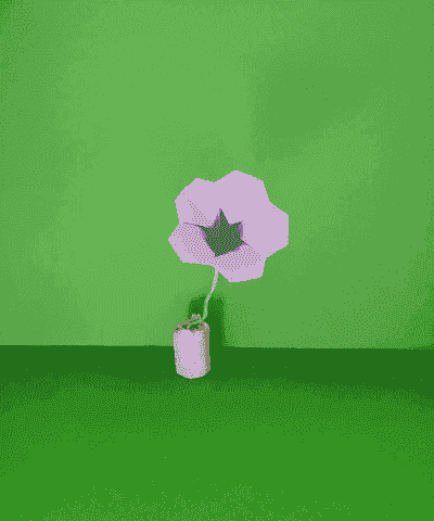 牵牛花能做什么