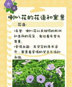 喇叭花的花语是什么