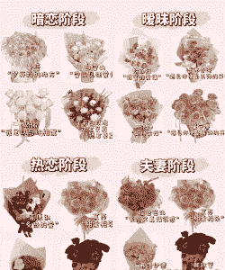 16朵红玫瑰花代表什么意思