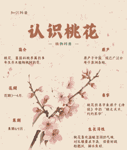 桃花是单性花还是双性花