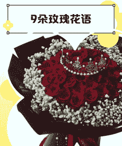 9朵红色玫瑰花代表什么意思