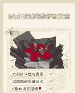 6支玫瑰花语是什么
