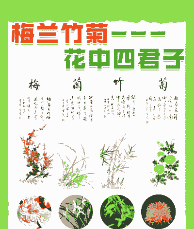花中君子是哪四种花