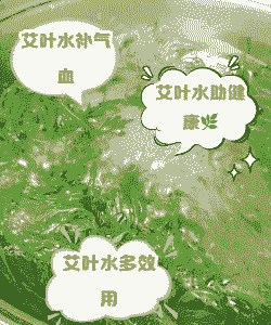 艾叶水可以浇花吗