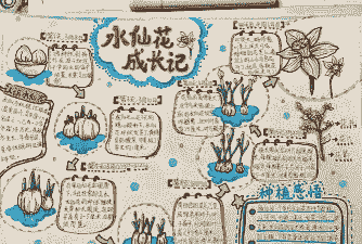 水仙花的科普知识10字