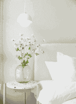 鲜花能放在卧室里吗