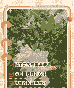 栀子花喜阴还是喜阳