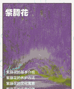 紫色的花有哪些及花名