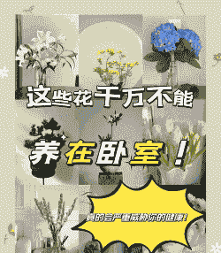 为什么卧室内不宜放置过多花卉