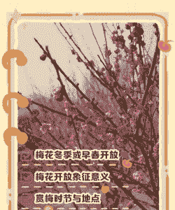 梅花几月开