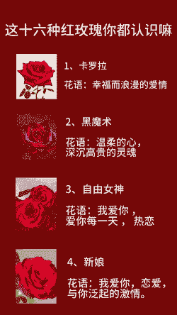 红玫瑰的花语是什么