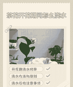 茶叶水可以浇花吗