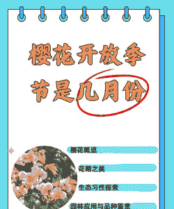 樱花是什么季节开放的