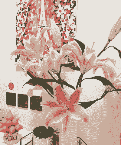 百合可以放卧室里嘛