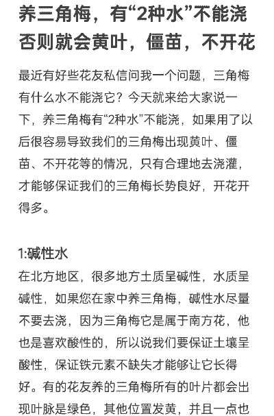 三角梅几天浇一次水