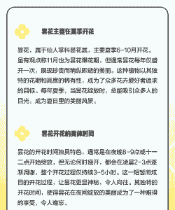 昙花什么季节开花