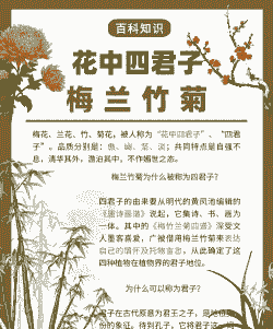 花中君子是指什么花