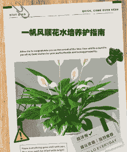 一帆风顺的养殖方法