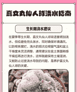 仙人球需要浇水吗