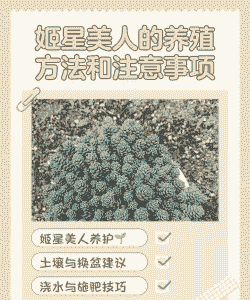 星美人怎么养