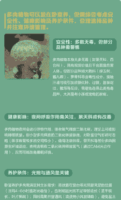 多肉放在卧室有好处吗