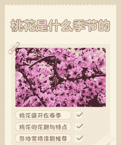 桃花开在什么季节