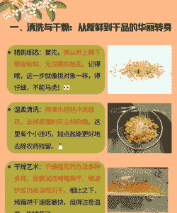 桂花从树上摘下后怎么处理