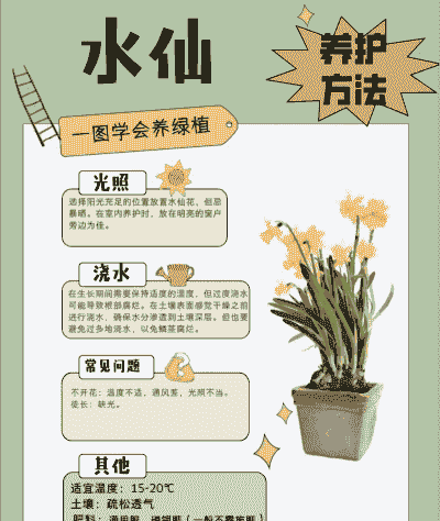 水仙花的养殖方法