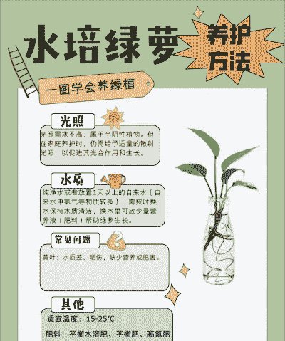 绿萝几天浇一次水,怎么浇水