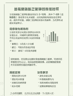 兰花几月份施磷酸二氢钾最佳