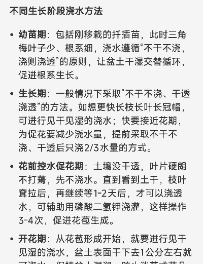 三角梅开花期间怎么浇水啊