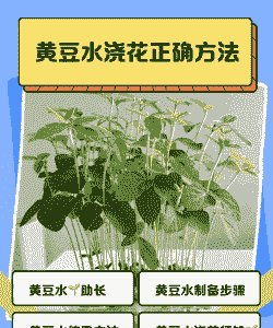 大豆的正确施肥方法