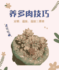 多肉最低温度多少可以露养