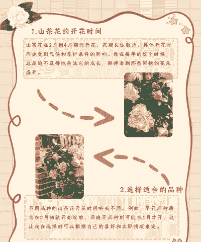 几月份插茶花最容易活