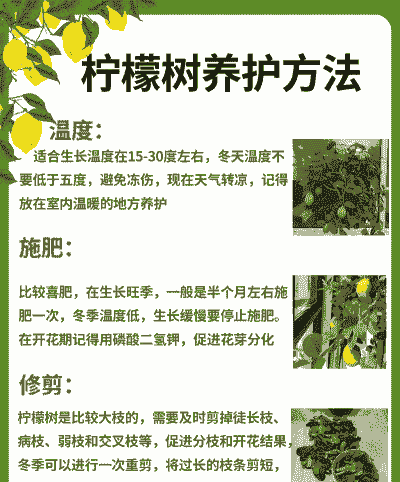 柠檬树几天一浇水