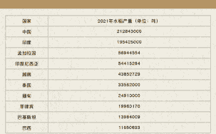 水稻最高产量每亩多少斤