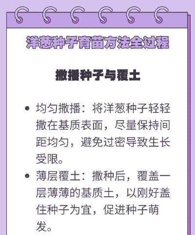 洋葱种子什么时候种