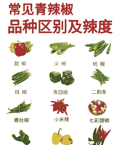 辣椒属于什么类蔬菜