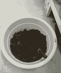 移栽多肉后浇不浇水