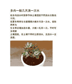新栽多肉几天浇水