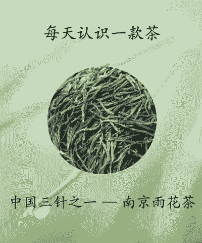雨花茶属于什么茶