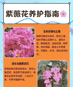 紫薇花哪个季节修剪