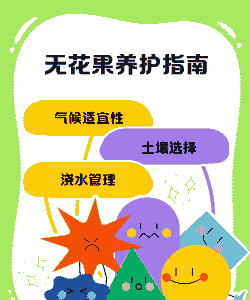 无花果的养护要点