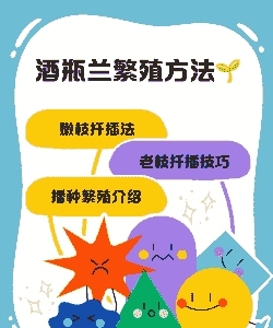 酒瓶兰的繁殖技巧